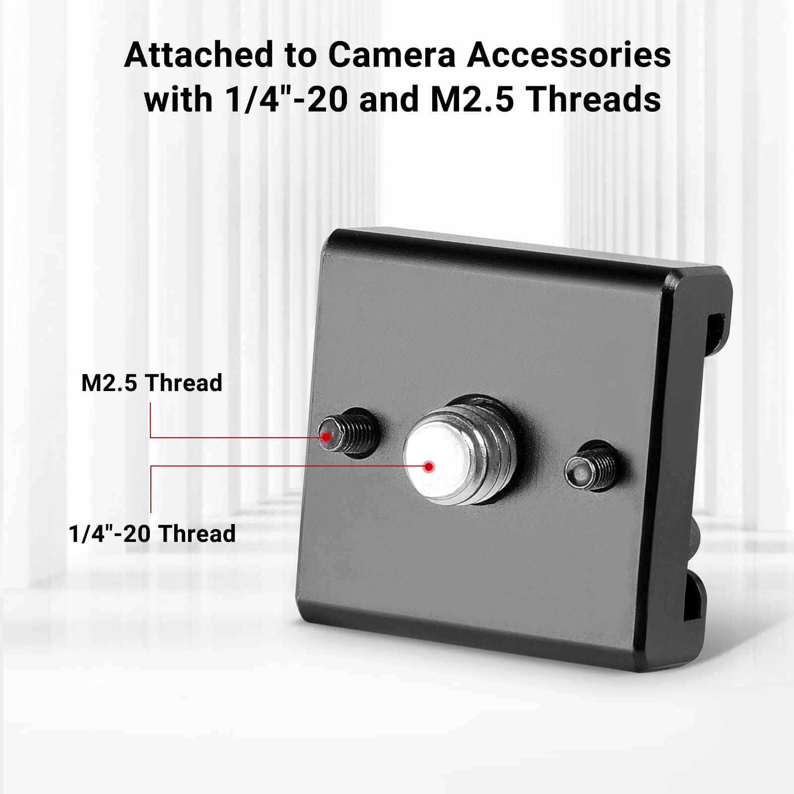 SmallRig Cold Shoe Mount (2pcs Pack) with 1/4"-20 Thread for Camera Cage Flash LED Monitor Microphone - 2060